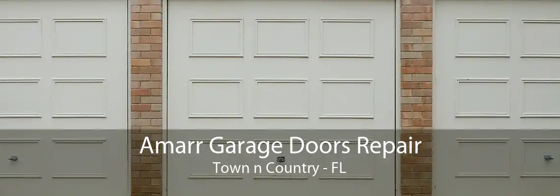 Amarr Garage Doors Repair Town n Country - FL