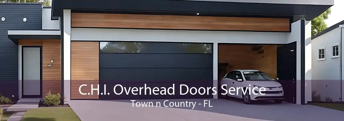 C.H.I. Overhead Doors Service Town n Country - FL