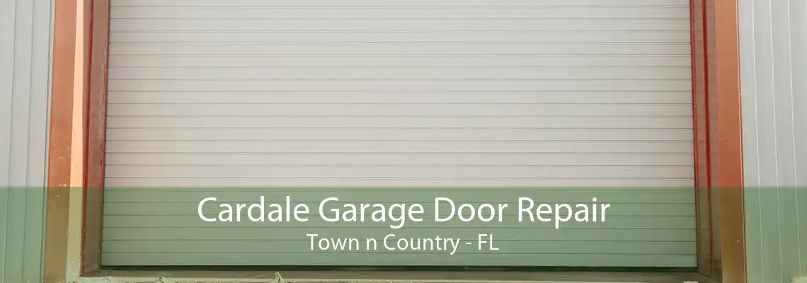 Cardale Garage Door Repair Town n Country - FL