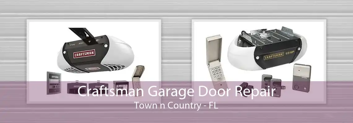 Craftsman Garage Door Repair Town n Country - FL