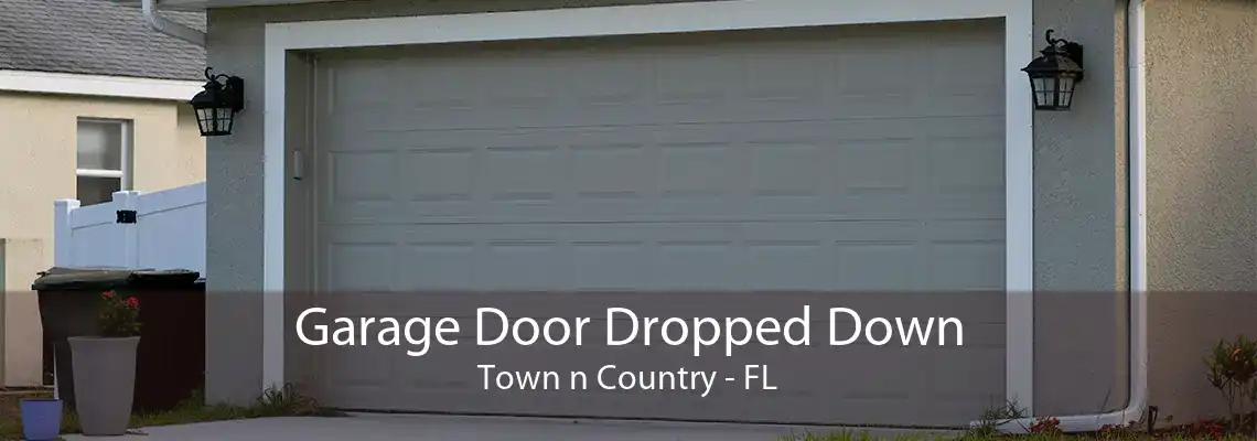 Garage Door Dropped Down Town n Country - FL