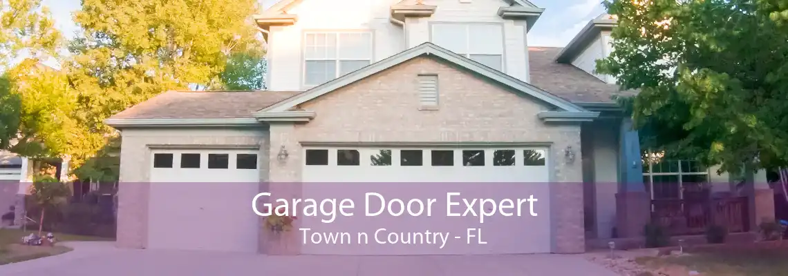 Garage Door Expert Town n Country - FL