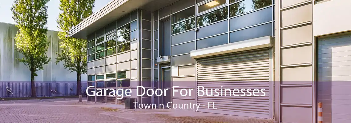 Garage Door For Businesses Town n Country - FL