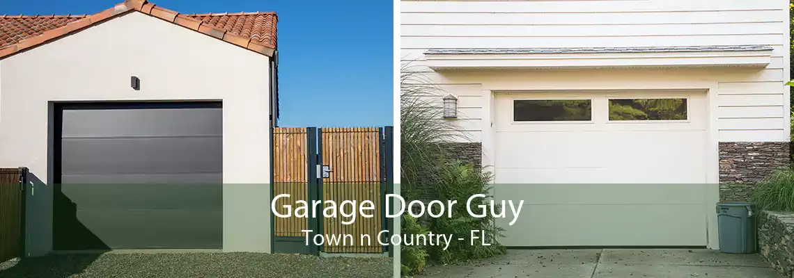 Garage Door Guy Town n Country - FL