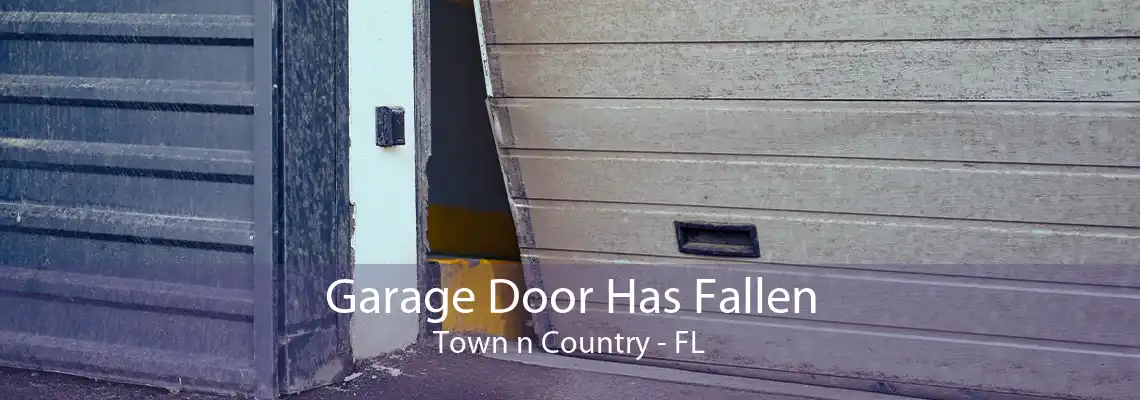 Garage Door Has Fallen Town n Country - FL