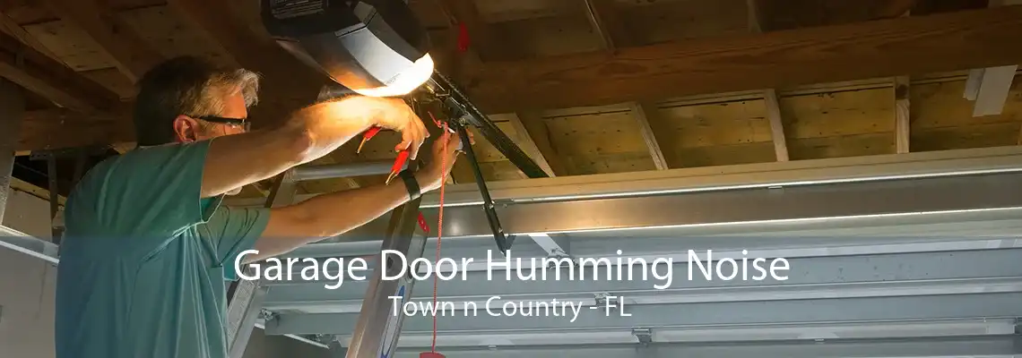 Garage Door Humming Noise Town n Country - FL