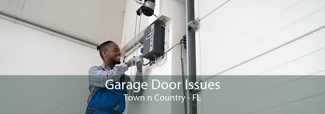 Garage Door Issues Town n Country - FL