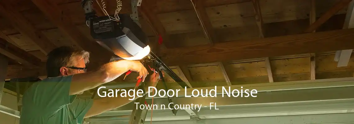 Garage Door Loud Noise Town n Country - FL