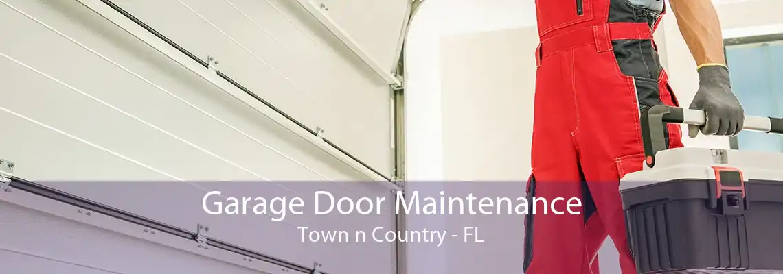 Garage Door Maintenance Town n Country - FL