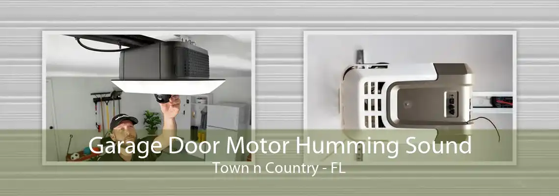 Garage Door Motor Humming Sound Town n Country - FL