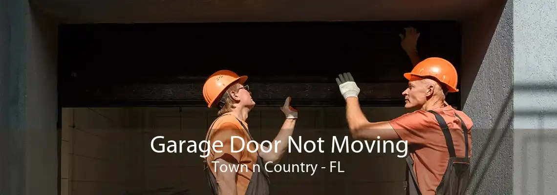 Garage Door Not Moving Town n Country - FL