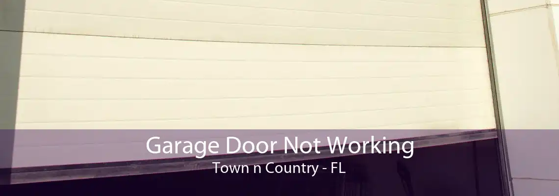 Garage Door Not Working Town n Country - FL