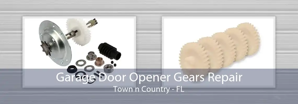 Garage Door Opener Gears Repair Town n Country - FL