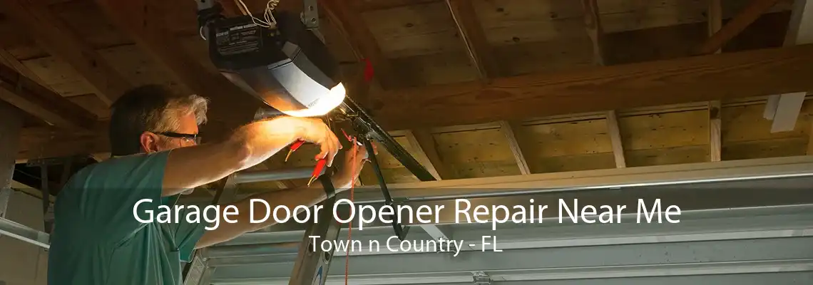 Garage Door Opener Repair Near Me Town n Country - FL