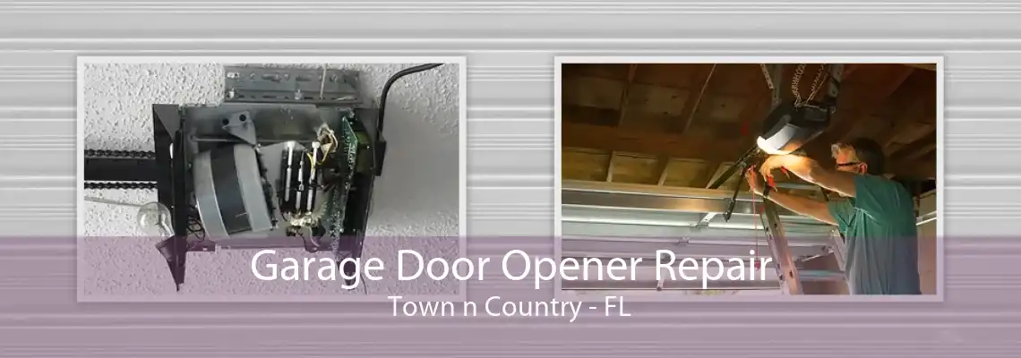 Garage Door Opener Repair Town n Country - FL