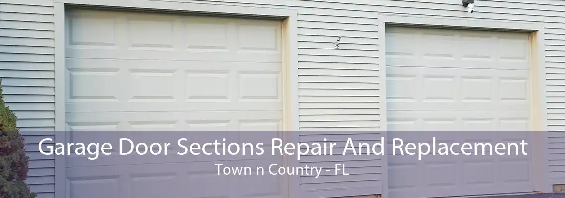 Garage Door Sections Repair And Replacement Town n Country - FL