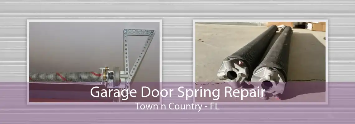 Garage Door Spring Repair Town n Country - FL