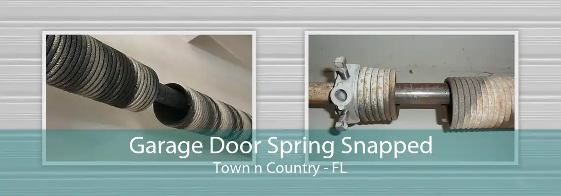 Garage Door Spring Snapped Town n Country - FL