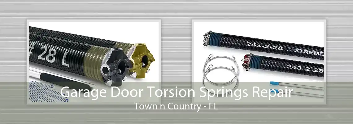 Garage Door Torsion Springs Repair Town n Country - FL