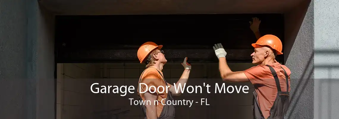 Garage Door Won't Move Town n Country - FL