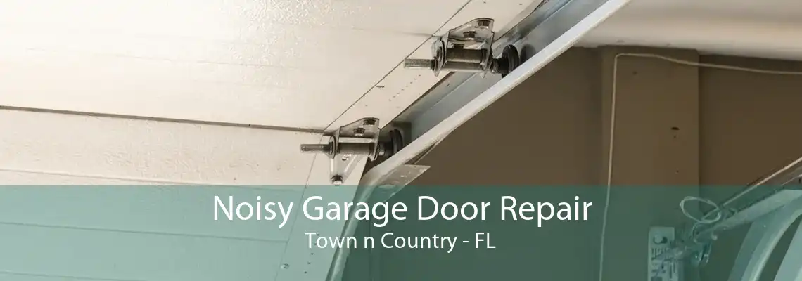 Noisy Garage Door Repair Town n Country - FL