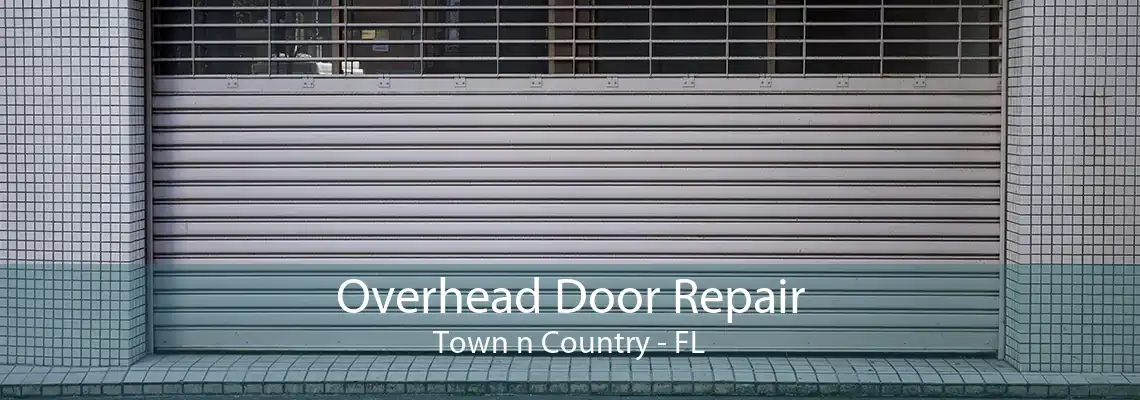 Overhead Door Repair Town n Country - FL