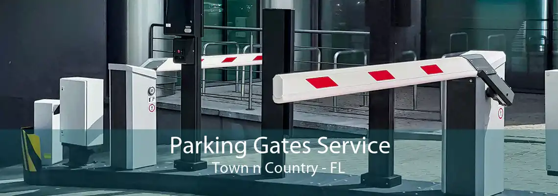 Parking Gates Service Town n Country - FL