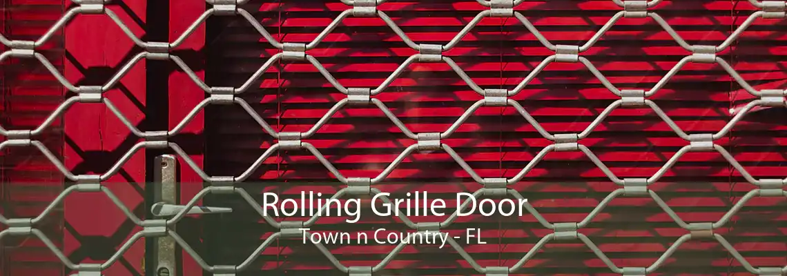 Rolling Grille Door Town n Country - FL