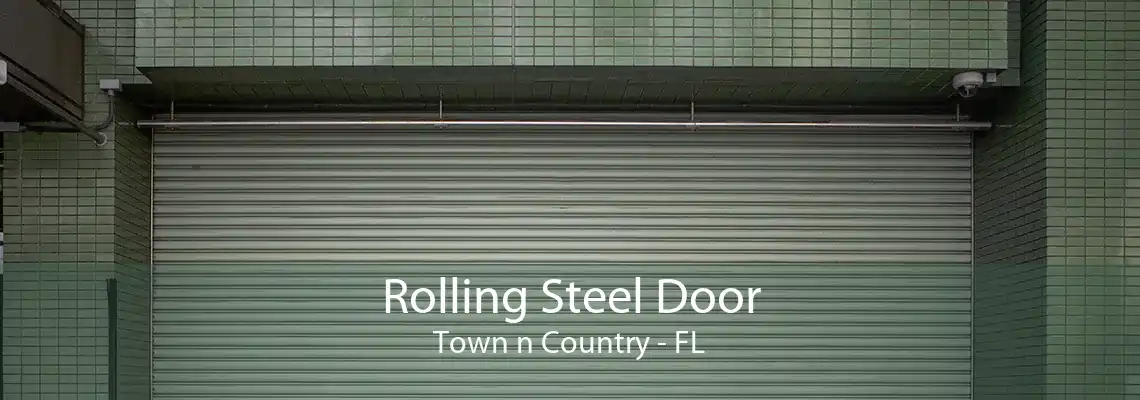 Rolling Steel Door Town n Country - FL