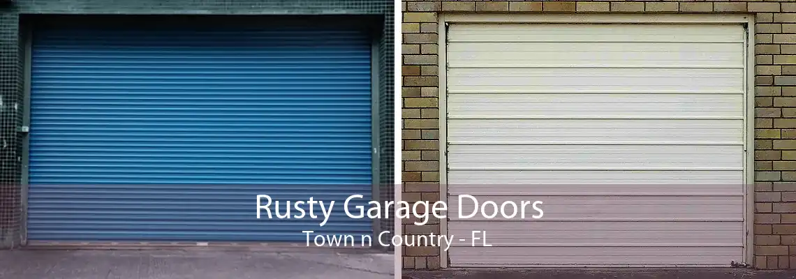 Rusty Garage Doors Town n Country - FL