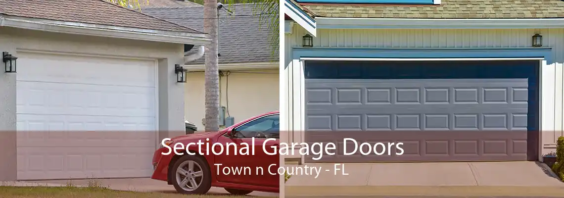 Sectional Garage Doors Town n Country - FL